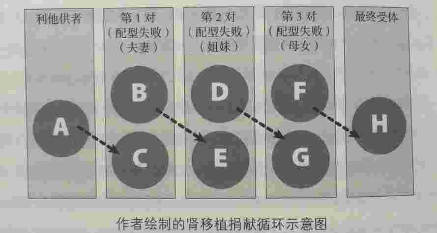 器官捐献系统